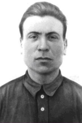 Бочарников Моисей Еремеевич