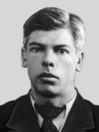 Мунц Владимир Оскарович