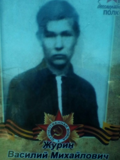 Журин Василий Михайлович