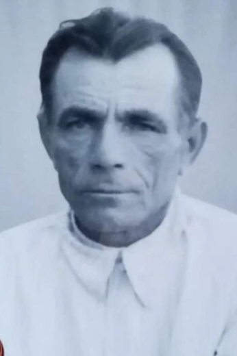 Долгополов Иван Дмитриевич