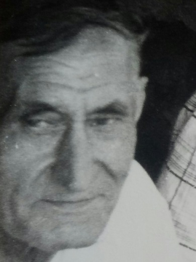 Никитин Леонид Савич