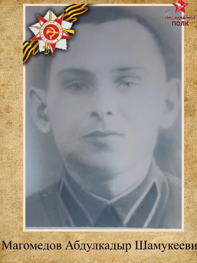 Магомедов Абдулкадыр Шамукеевич