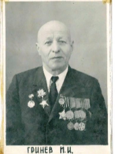 Гринев Михаил Иванович