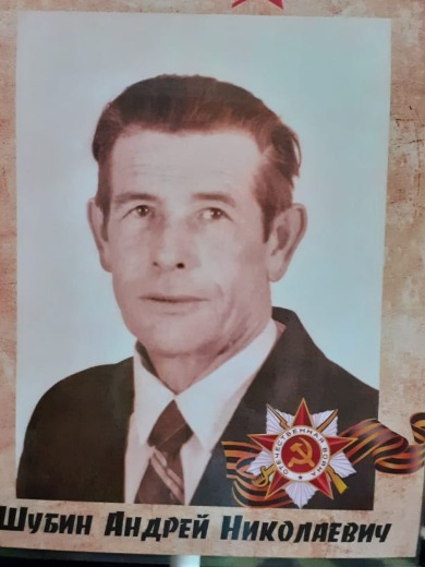 Шубин Андрей Николаевич