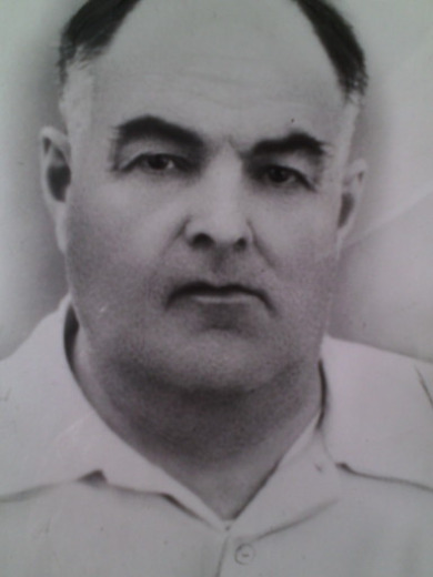 Шкоркин Александр Ефимович