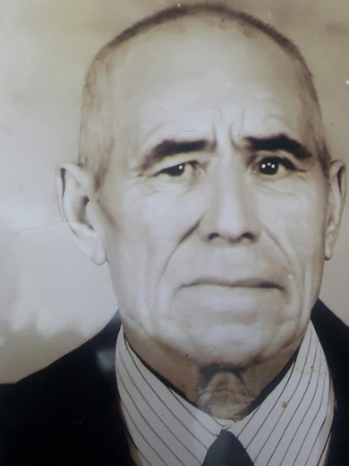 Шаймухамедов Загридин