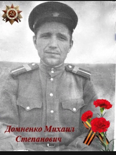 Домненко Михаил Степанович