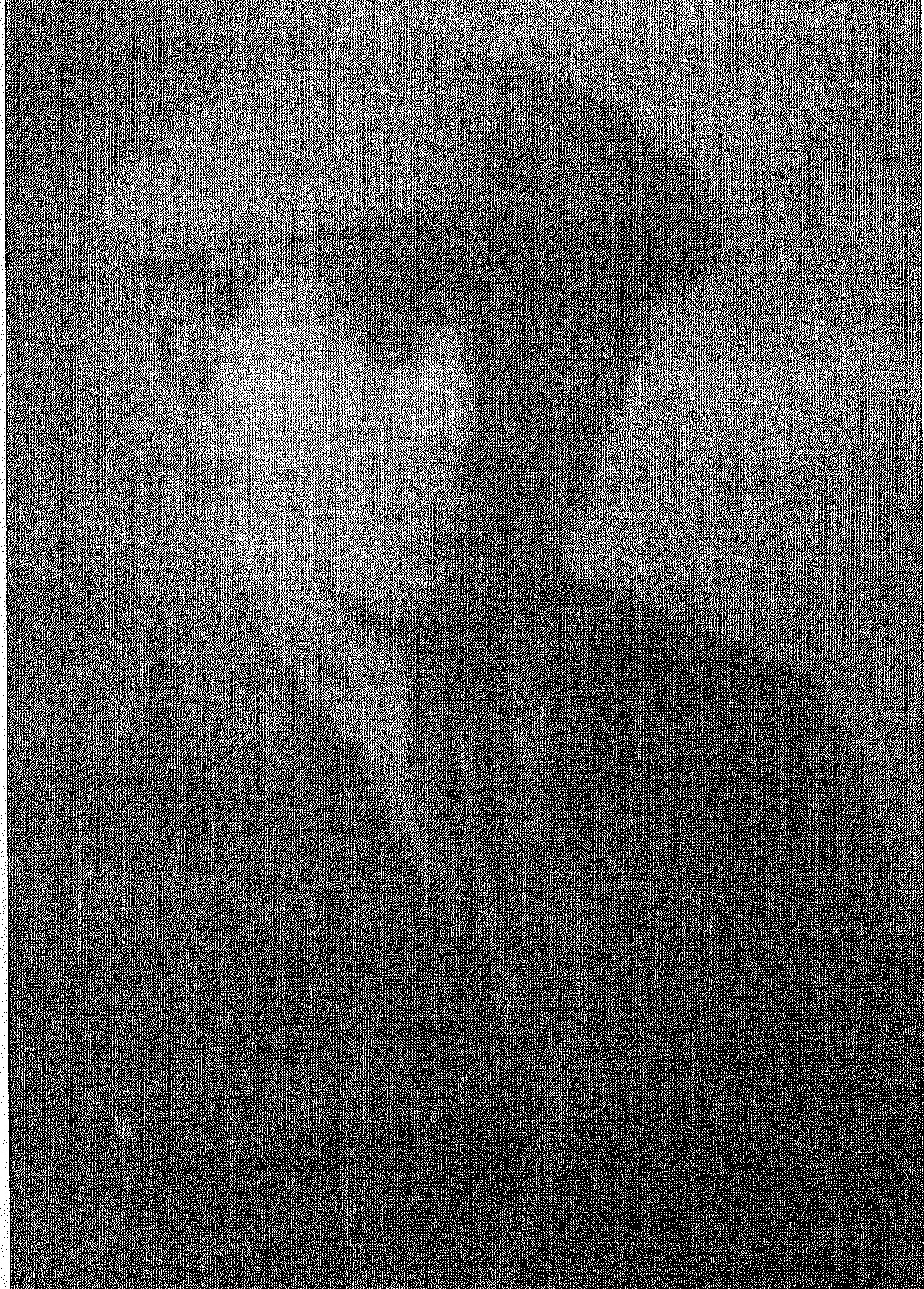 Занеделов Василий Алексеевич