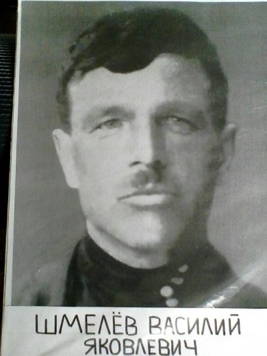 Шмелев Василий Яковлевич