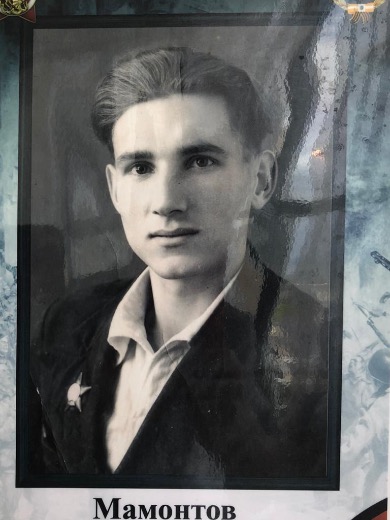 Мамонтов Владимир Павлович