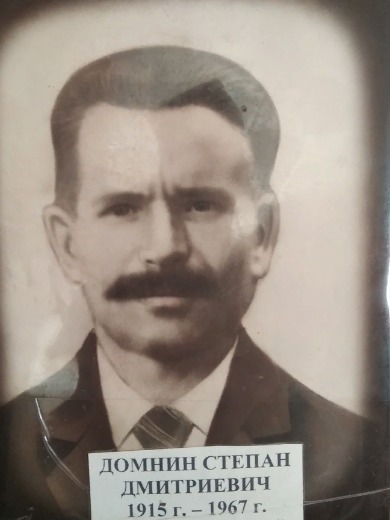 Домнин Степан Дмитриевич
