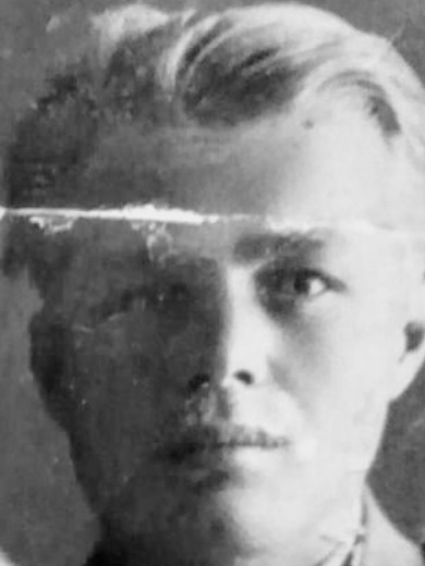Биркин Владимир Иосифович