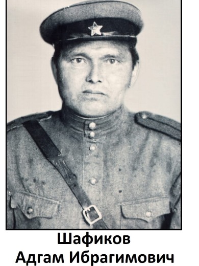 Шафиков Адгам Ибрагимович
