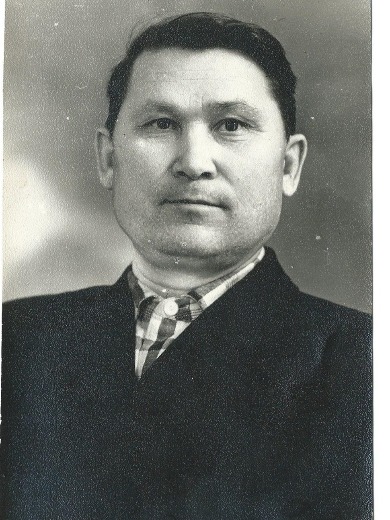 Моисеев Владимир Иванович