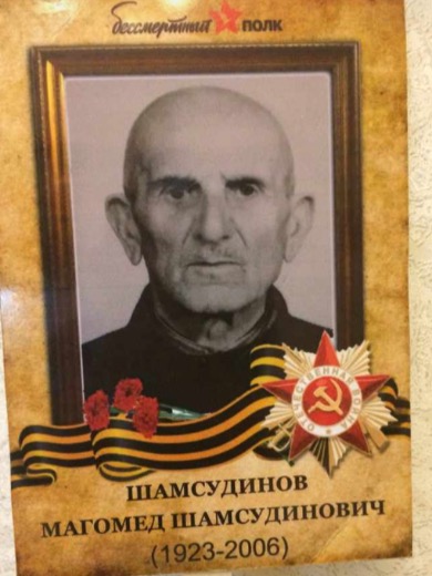 Шамсудинов Магомед Шамсудинович