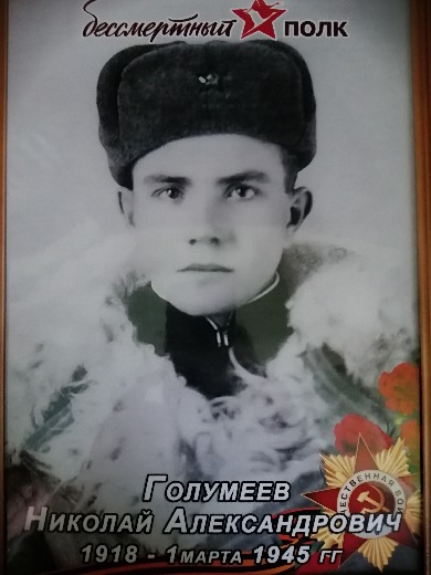 Голумеев Николай Александрович