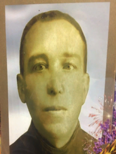 Черемисин Дмитрий Семёнович