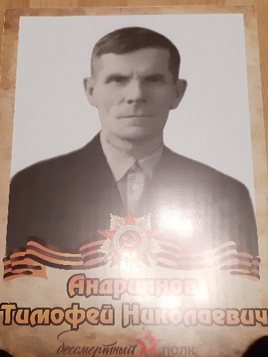 Андриянов Тимофей Николаевич