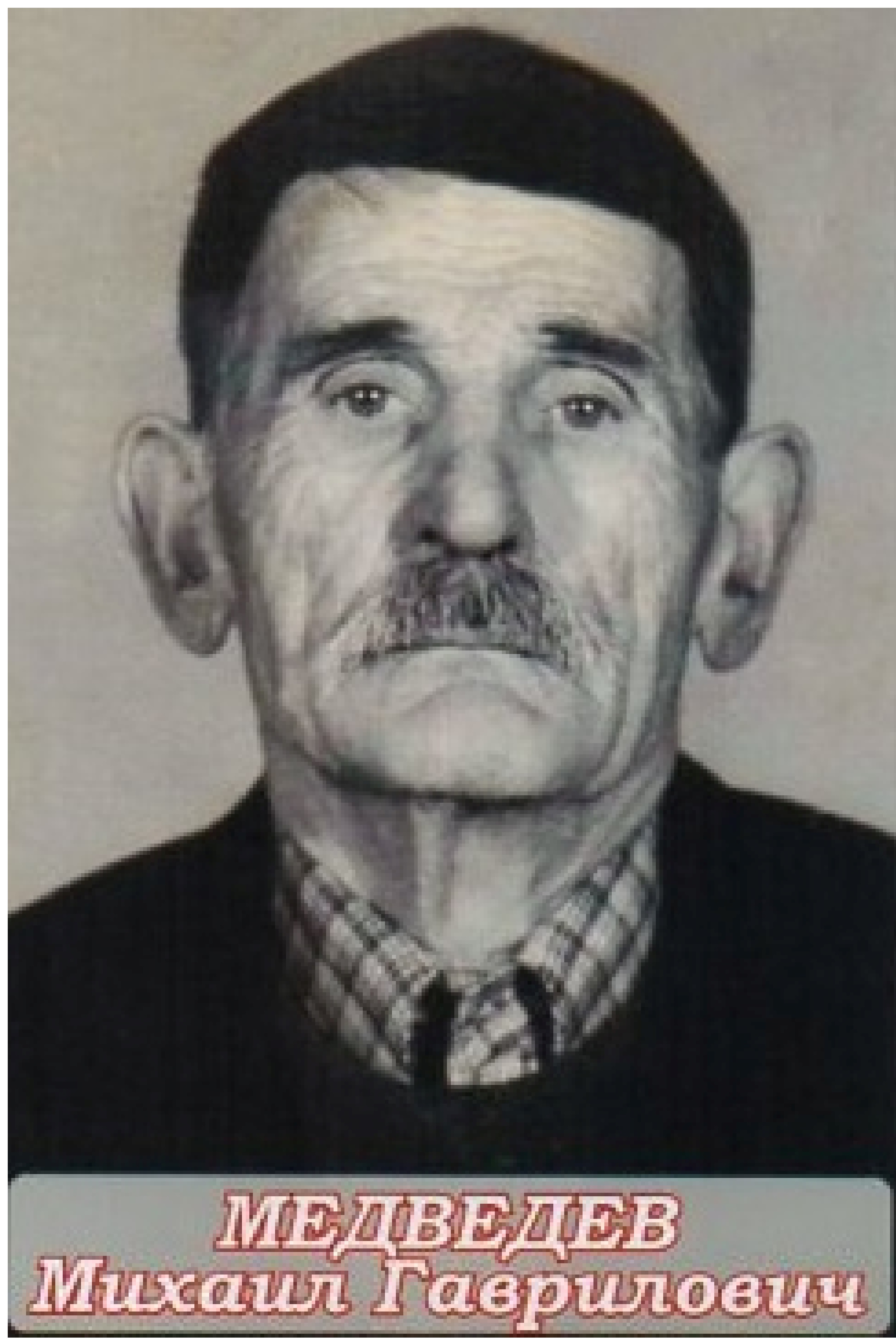 Медведев Михаил Гаврилович