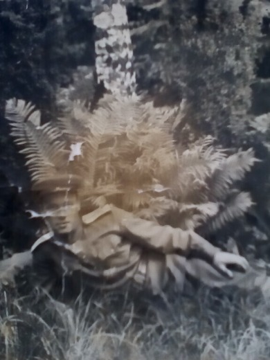 Мусаев Федор Михайлович