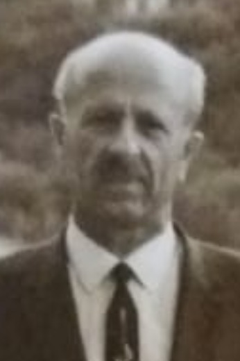 Рамишвили Аполлон Гавриилович