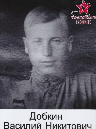 Добкин Василий Никитович