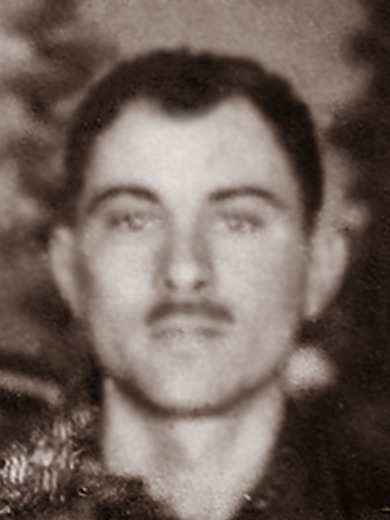 Гануш Василий Демьянович