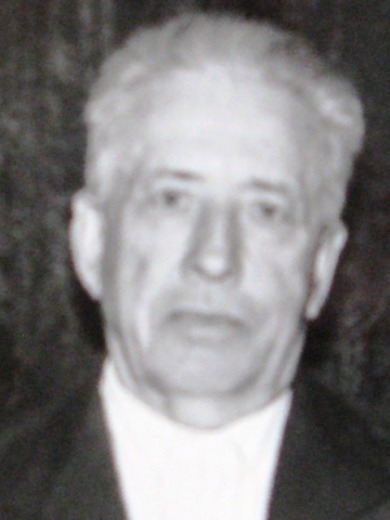 Скрипников Николай Григорьевич