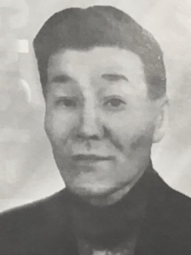Манго Николай Петрович