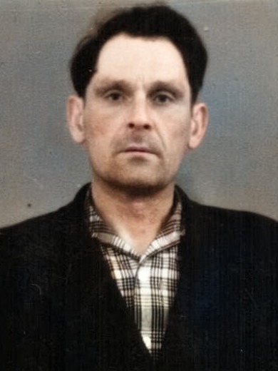 Доронин Владимир Фомич