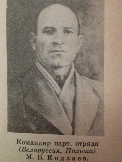 Кодзаев Михаил Борисович