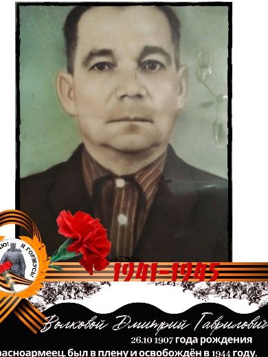 Волковой Дмитрий Гаврилович