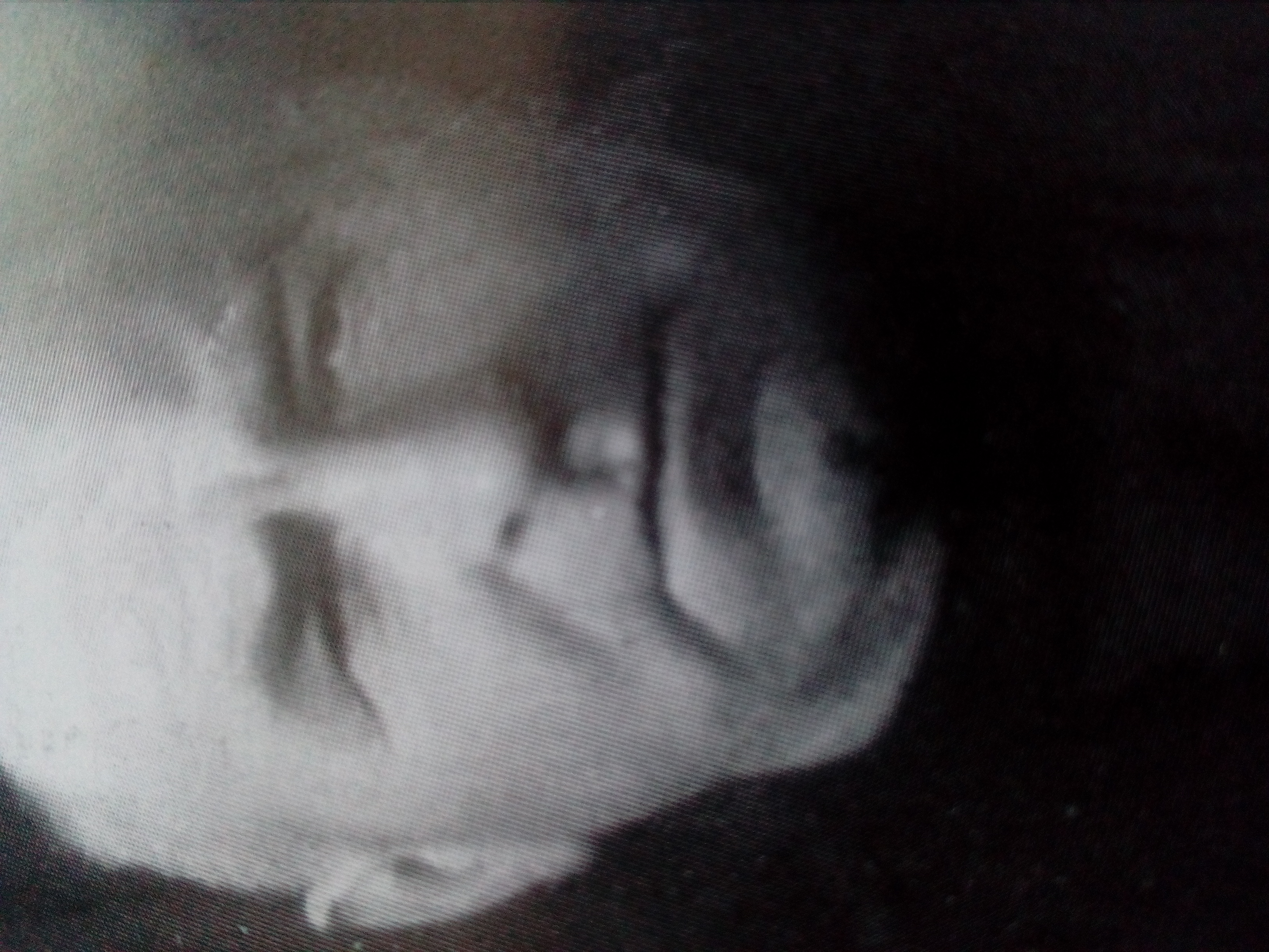 Шагинян Мнацакан Партимосович