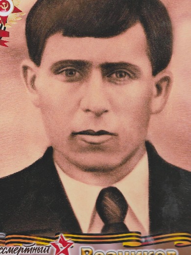 Резников Владимир Игнатьевич