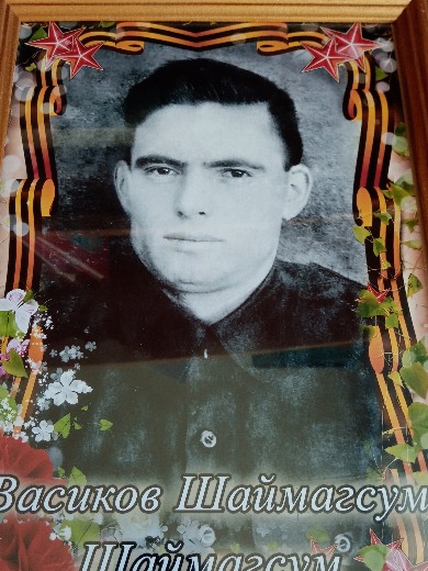 Васиков Шайми Габдрахманович
