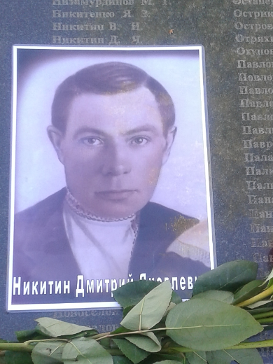 Никитин Дмитрий Яковлевич