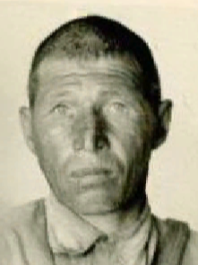 Черноскутов Михаил Дмитриевич