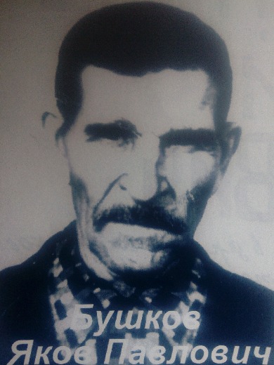 Бушков Яков Павлович