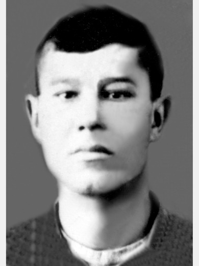 Дергунов Николай Николаевич