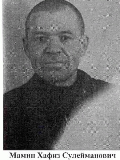 Мамин Хафиз Сулейманович