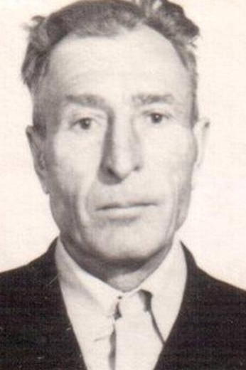 Волков Михаил Семенович