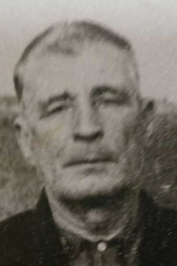 Никуличев Николай Ильич