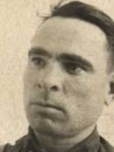 Белинкис Марк Самойлович