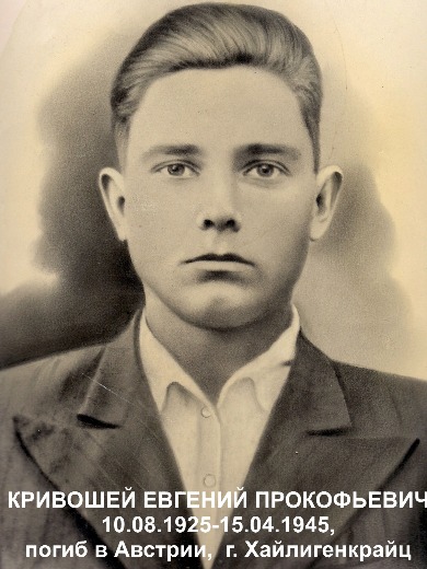 Кривошей Евгений Прокофьевич