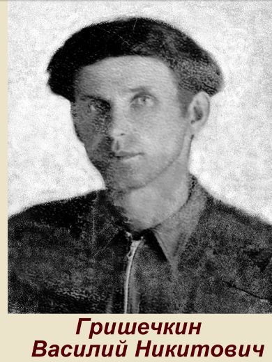 Гришечкин Василий Никитович