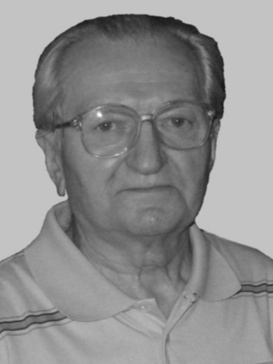 Васильев Михаил Иванович