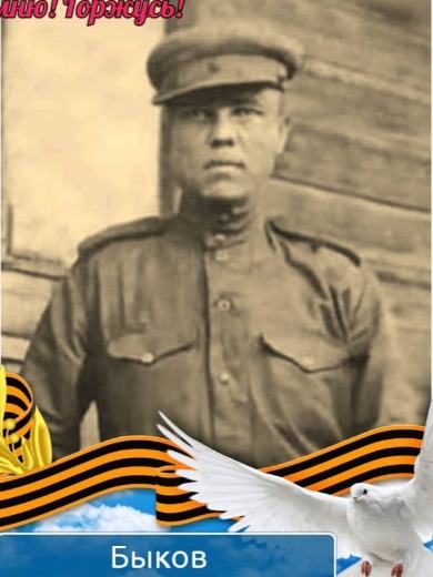 Быков Михаил Осипович