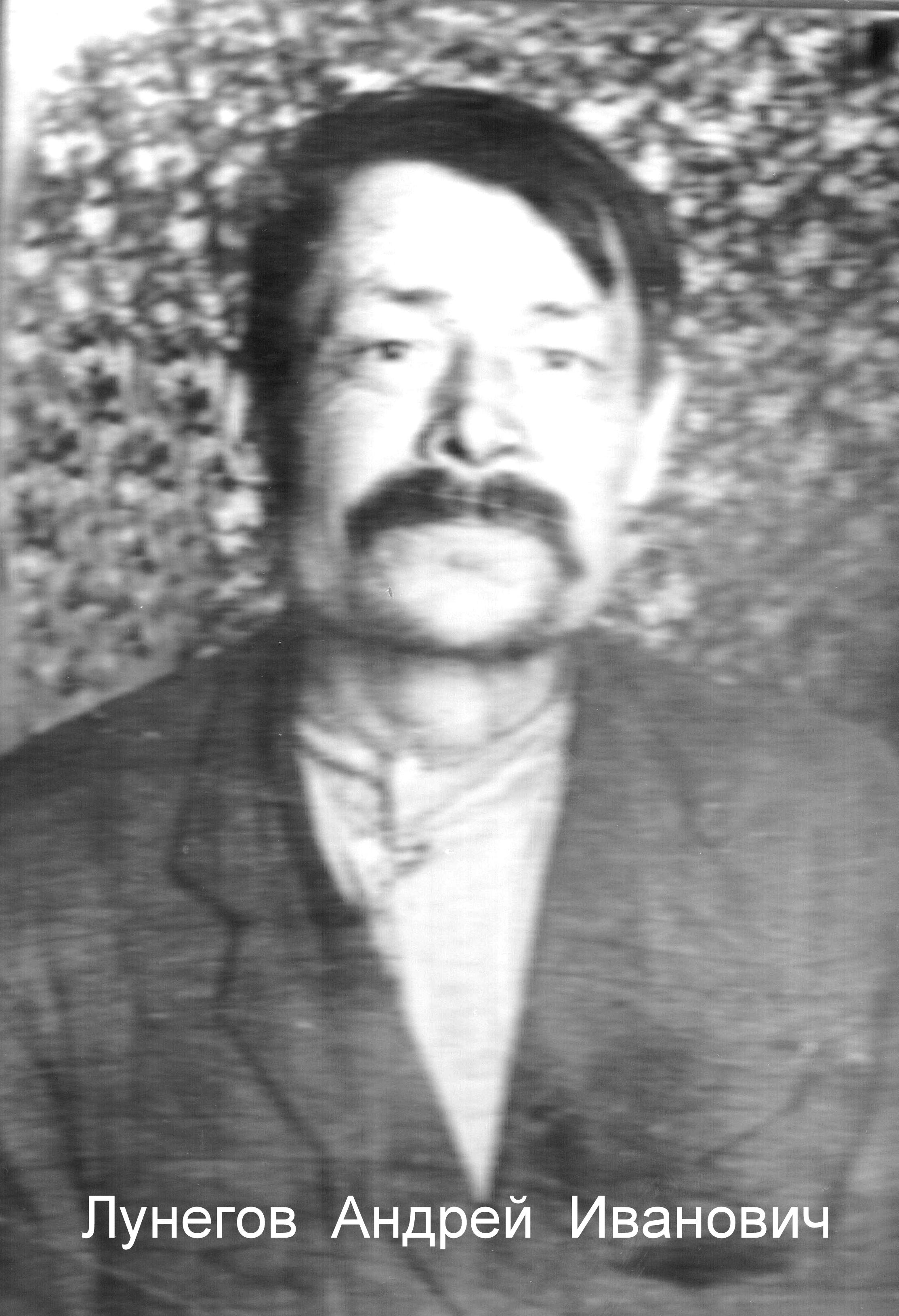 Лунегов Андрей Иванович