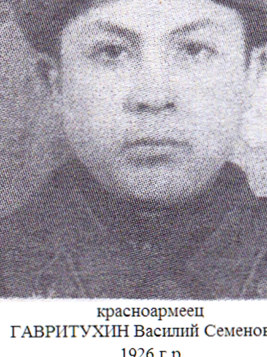 Гавритухин Василий Семёнович