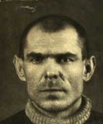 Михайлов Емельян Федорович